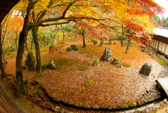 光明禅寺の秋