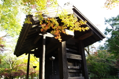 色づきはじめ。。