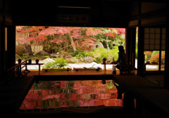 寿福寺の秋　2017