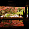 寿福寺の秋　2017
