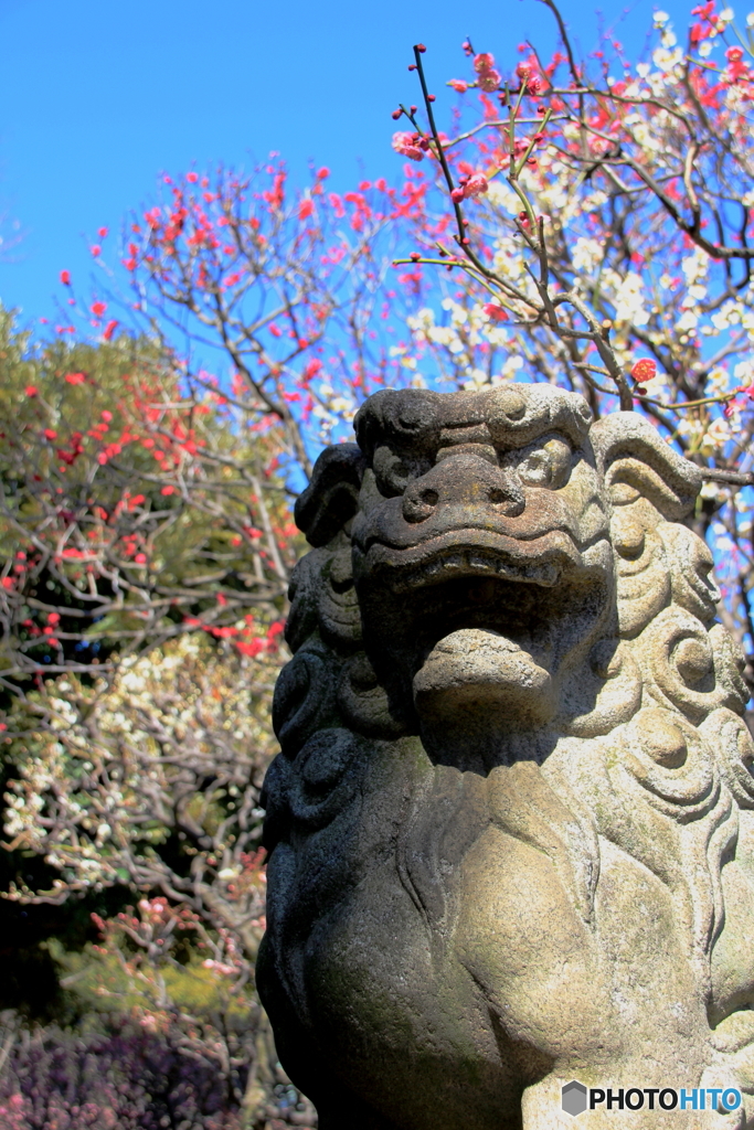 北野神社3