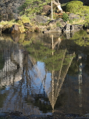 新年の日比谷公園10