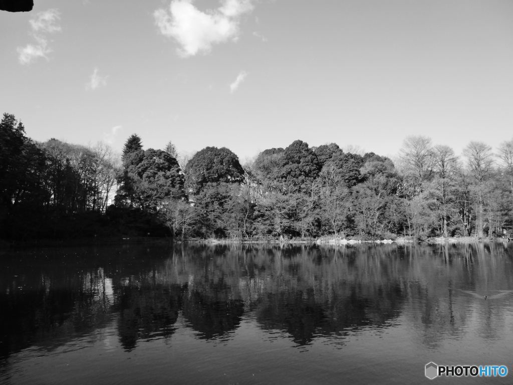 新年の石神井公園(2017年)3