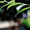 水滴