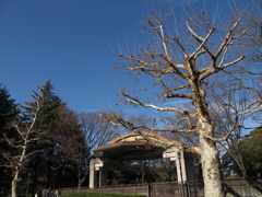 新年の日比谷公園9
