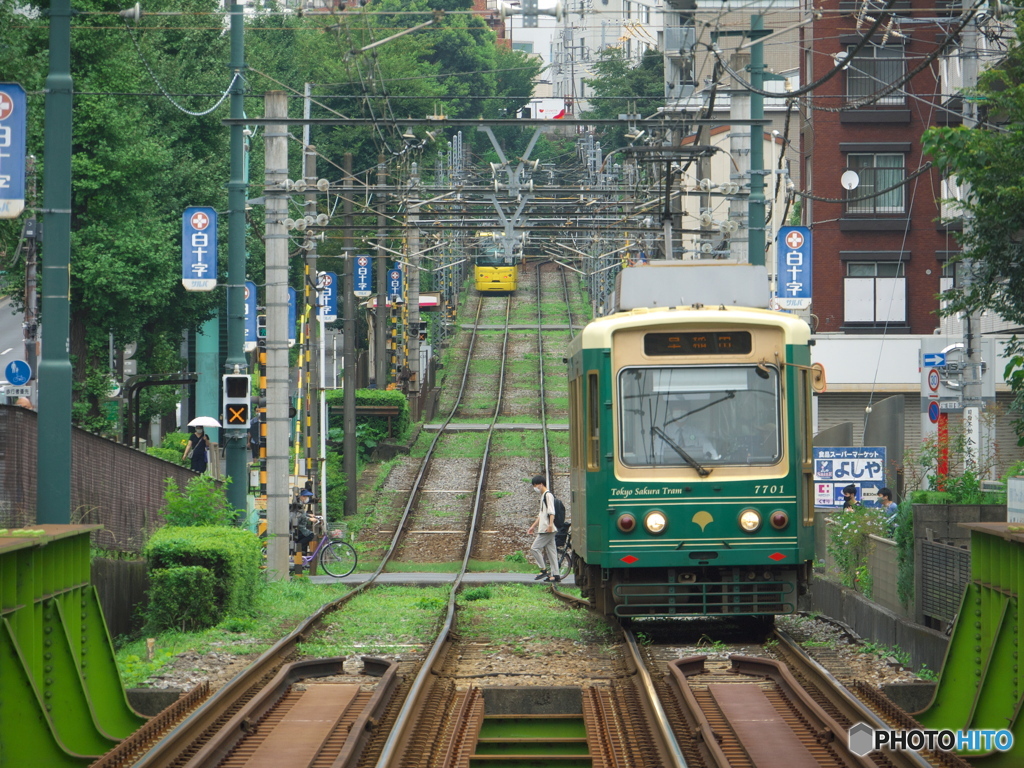 東京さくらトラム