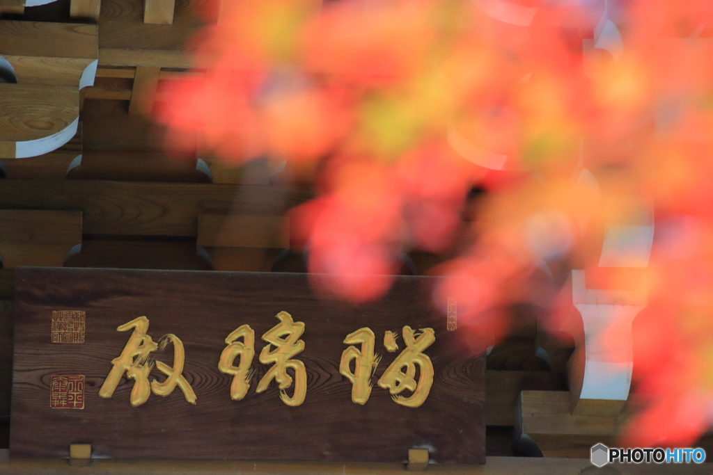 道場寺の紅葉1