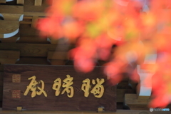 道場寺の紅葉1