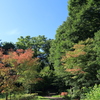 爽やか