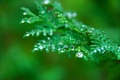水滴
