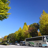 祝田通りの黄葉
