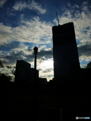 早朝の日比谷公園3