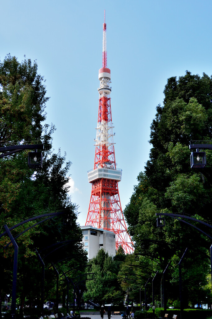 東京タワー