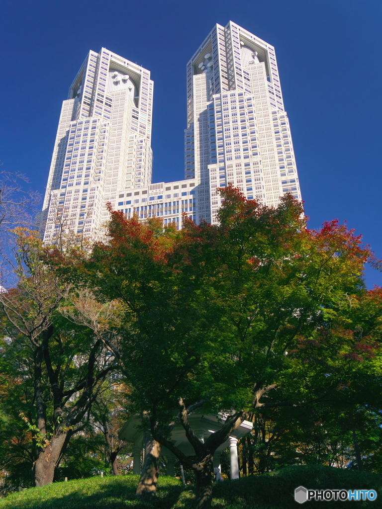 東京都庁と六角堂