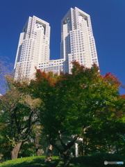 東京都庁と六角堂