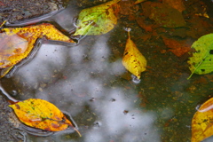雨上がり