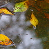 雨上がり