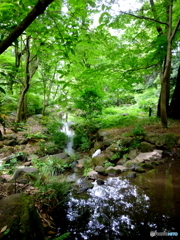 渋谷、広尾周辺6