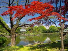 清澄庭園