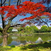 清澄庭園