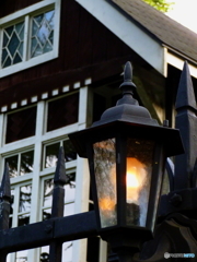 早朝の日比谷公園1