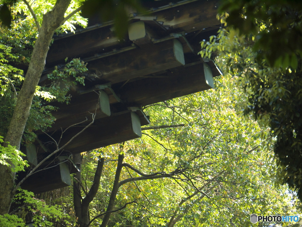 初夏の猿橋と桂川7