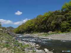 初夏の猿橋と桂川9