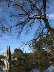 新年の石神井公園4