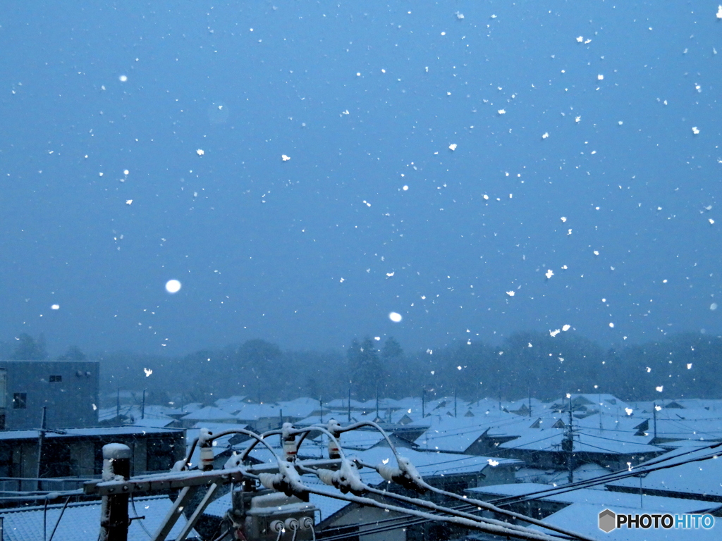 大雪です２