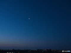 夜明けの月