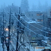 大雪です
