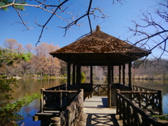 東屋