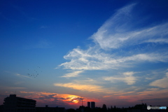今日も暑い日になりそうです
