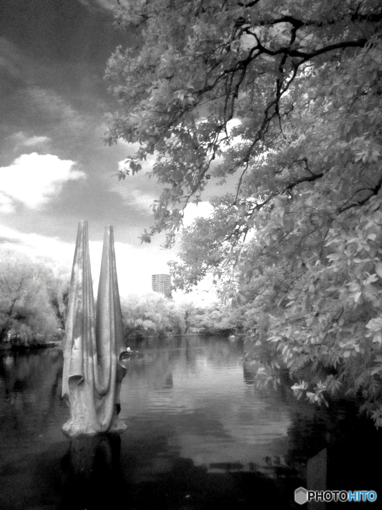 石神井公園(白黒)4