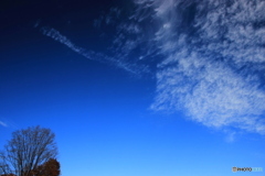 初冬の空