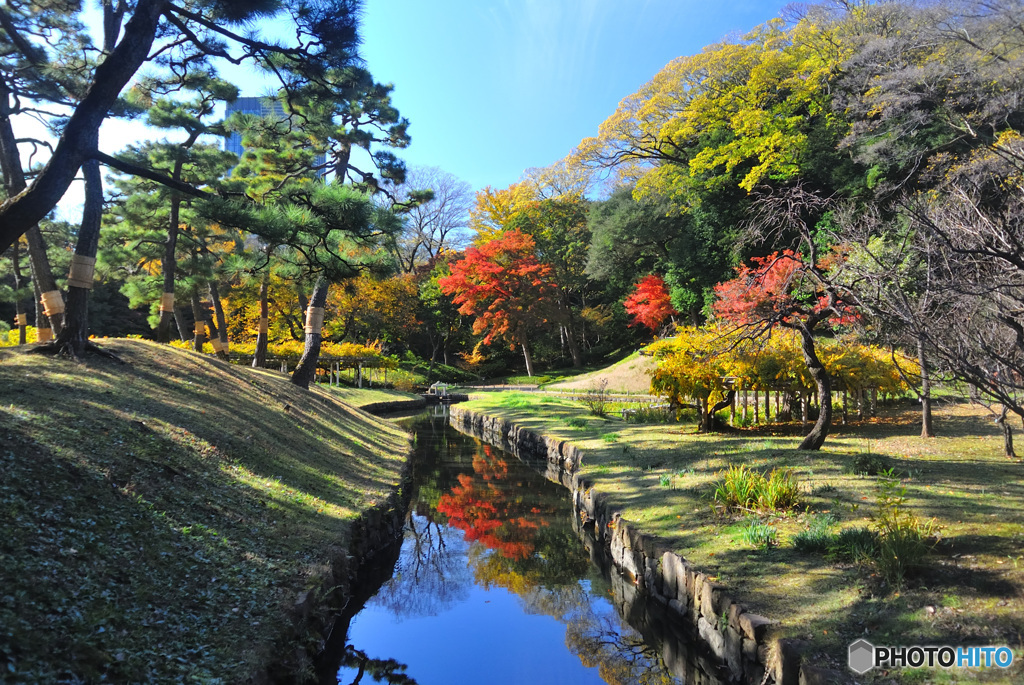 小石川後楽園の紅葉