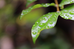 雨模様