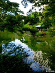 早朝の日比谷公園4