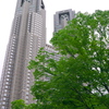 新緑と東京都庁