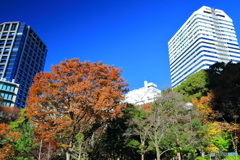 清水谷公園の紅葉