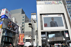 タモリさんとネコ