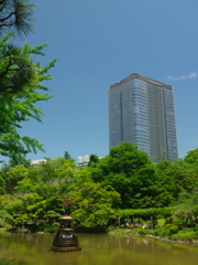 新緑と鶴の噴水