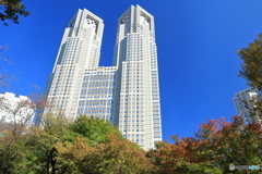 東京都庁と紅葉