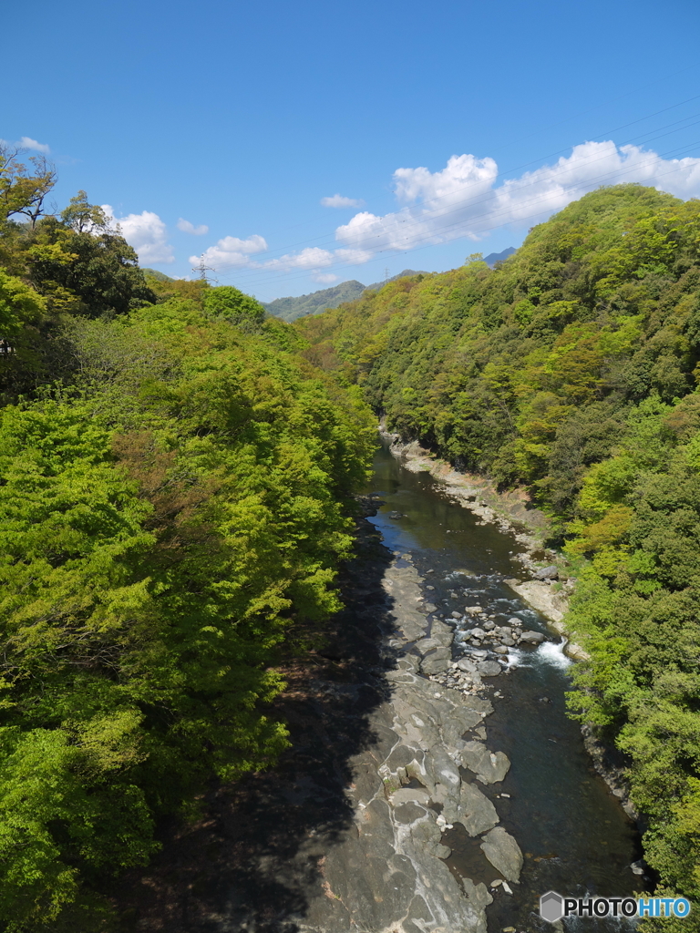 初夏の猿橋と桂川2