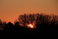 2016年元旦の朝日（自宅）11