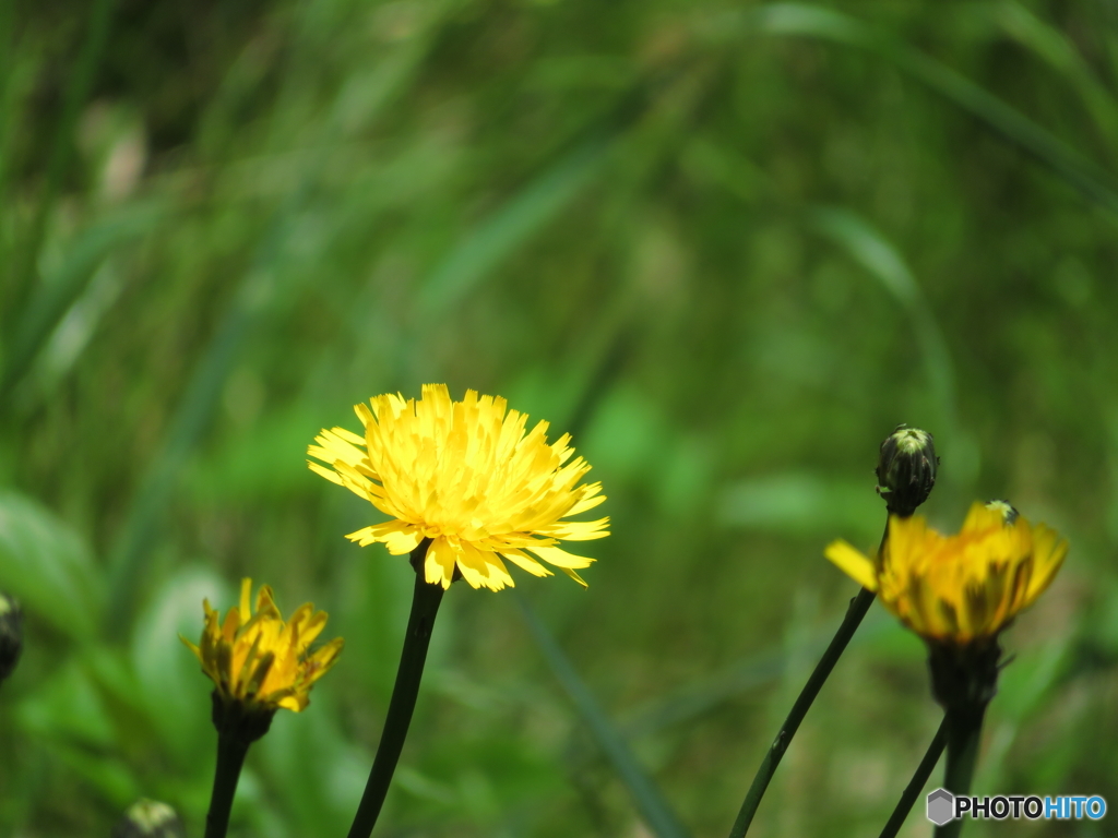 埼玉県営和光樹林公園9