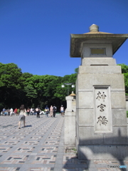 新緑の明治神宮1