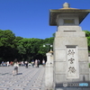 新緑の明治神宮1