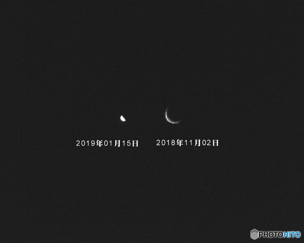金星の大きさの変化