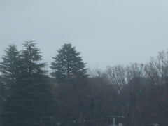 雨模様